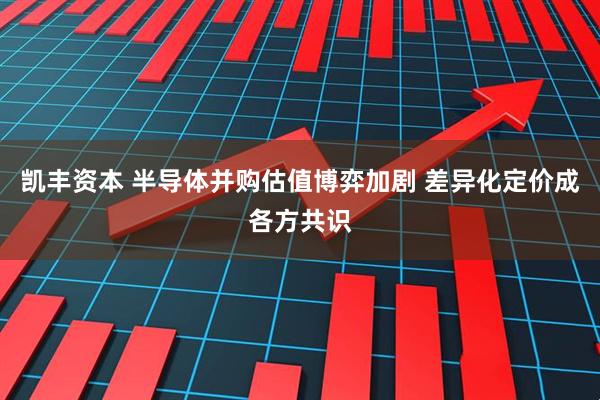 凯丰资本 半导体并购估值博弈加剧 差异化定价成各方共识