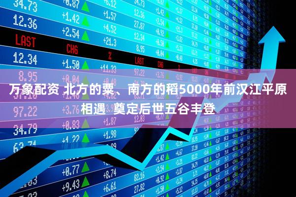 万象配资 北方的粟、南方的稻5000年前汉江平原相遇  奠定后世五谷丰登